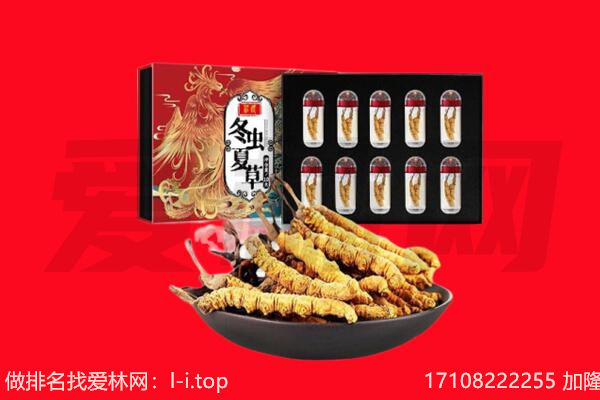陇南市徽县回收虫草.jpg